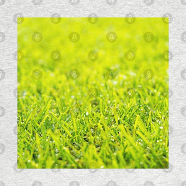 Dew Drops On Green Grass by THP Creative